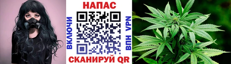 Цена Новочеркасск Канабис  АМФЕТАМИН  COCAIN  Альфа ПВП  Гашиш  МЕФ 