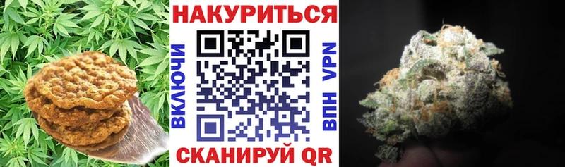 Canna-Cookies марихуана  Новочеркасск 