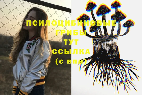 дживик Иннополис