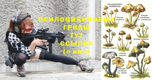 молекула духа Алексин