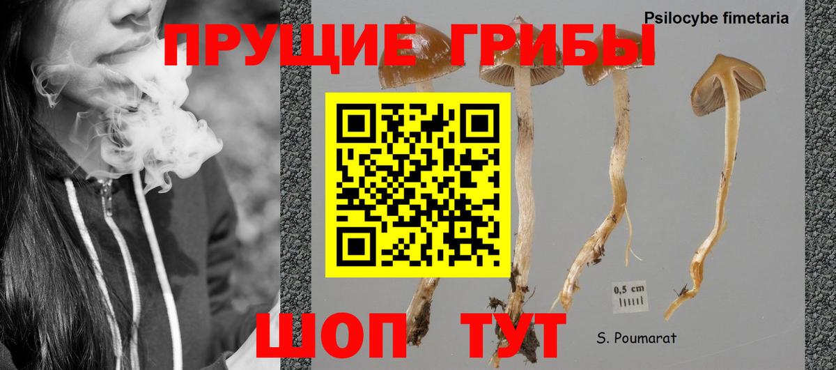 НБОМе Новочеркасск