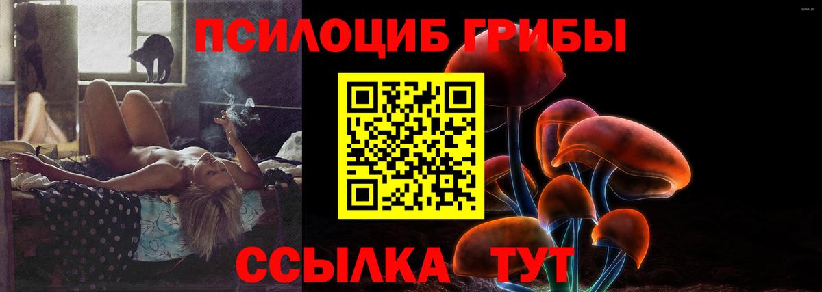 Псилоцибиновые грибы Magic Shrooms  Вход с VPN  Новочеркасск  Галлюциногенные грибы прущие грибы 